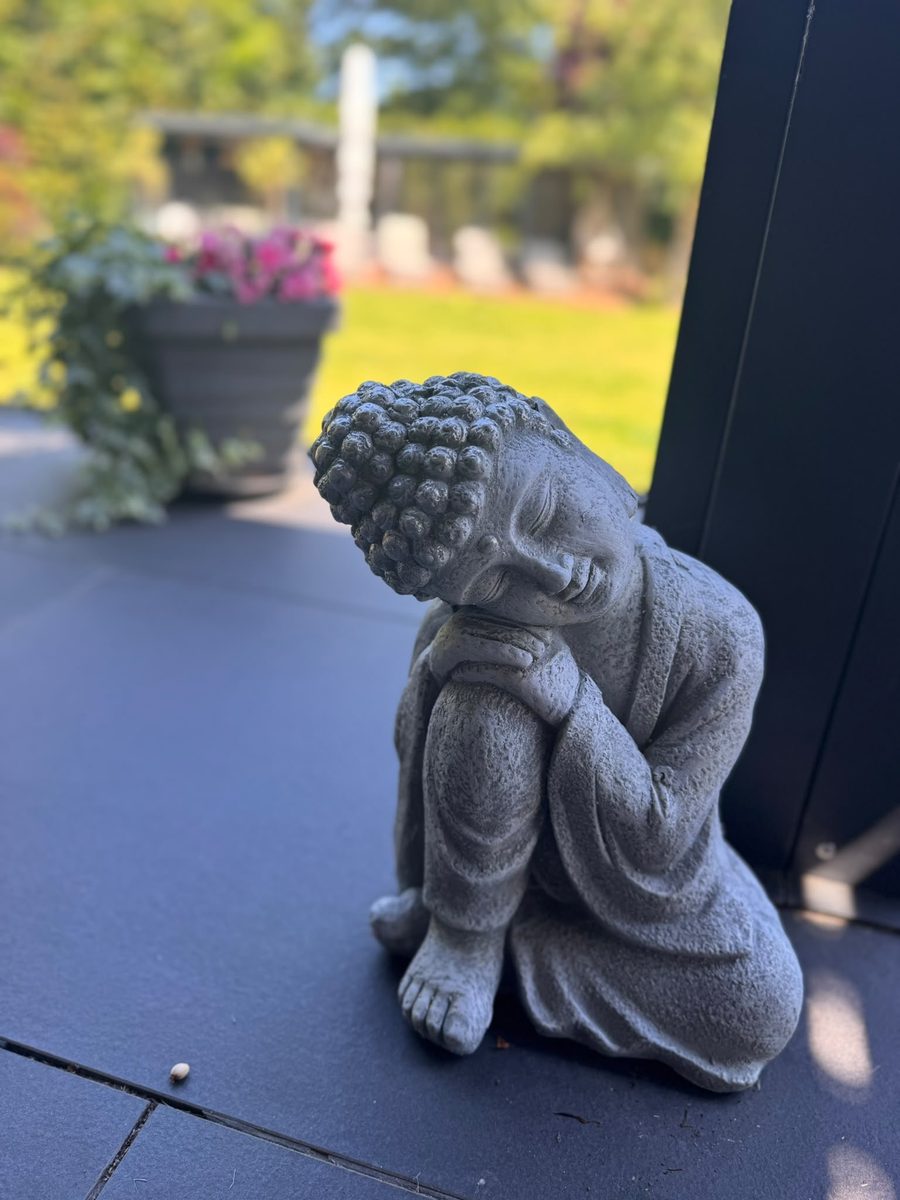 A quiet corner of the garden